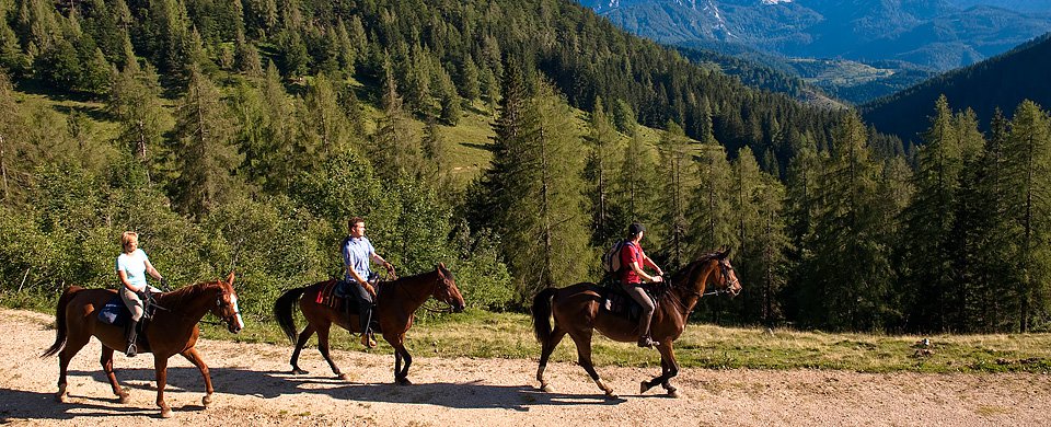 Reiten nahe eines Waldes